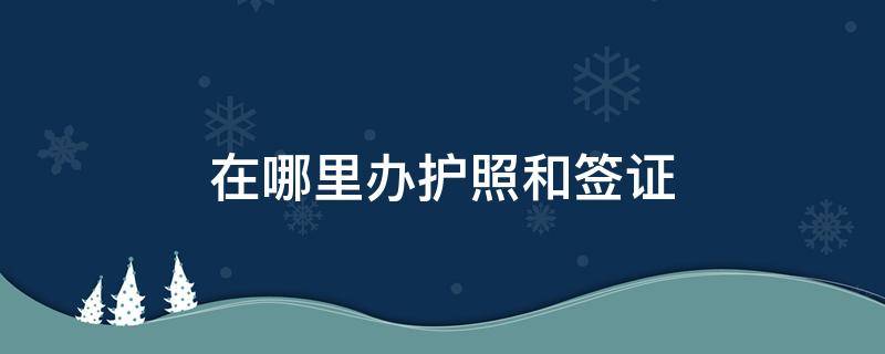 在哪里办护照和签证 在哪里可以办护照签证