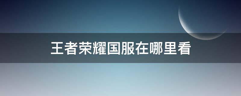 王者荣耀国服在哪里看（王者荣耀国服在哪里看排名）