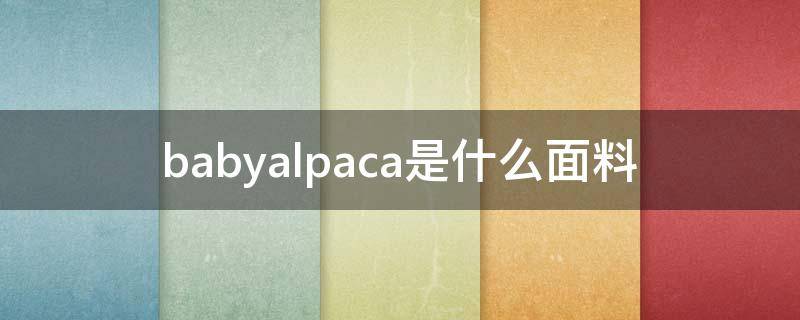 babyalpaca是什么面料（alpacawool是什么面料）