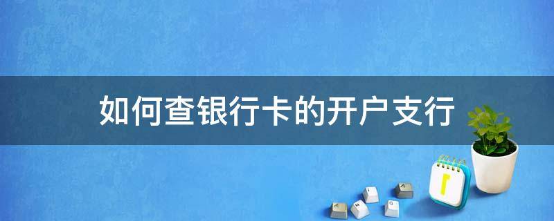 如何查银行卡的开户支行（如何查银行卡的开户支行?）