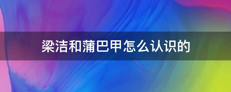 梁洁和蒲巴甲怎么认识的（梁洁与蒲巴甲怎么认识的）