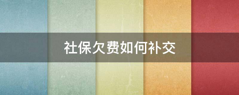 社保欠费如何补交 社保欠费如何补交欠费