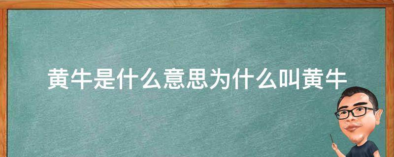 黄牛是什么意思为什么叫黄牛 黄牛指的是什么牛