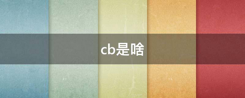 cb是啥（CB是啥牌子）