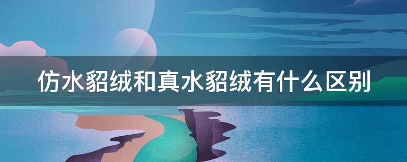 仿水貂绒和真水貂绒有什么区别（仿水貂绒与水貂绒的区别）
