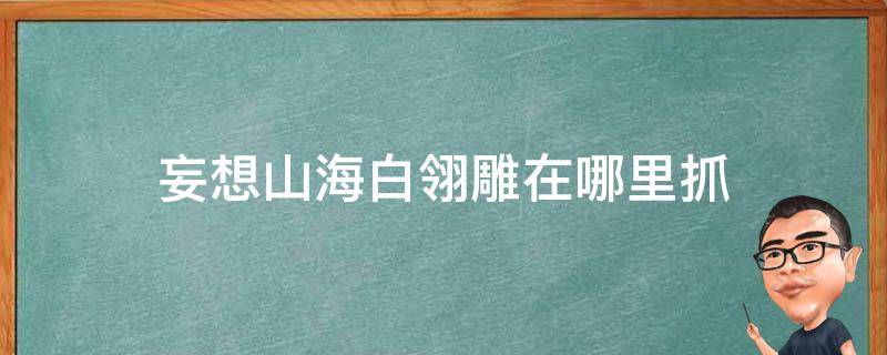 妄想山海白翎雕在哪里抓（妄想山海赤翎雕在哪里抓）