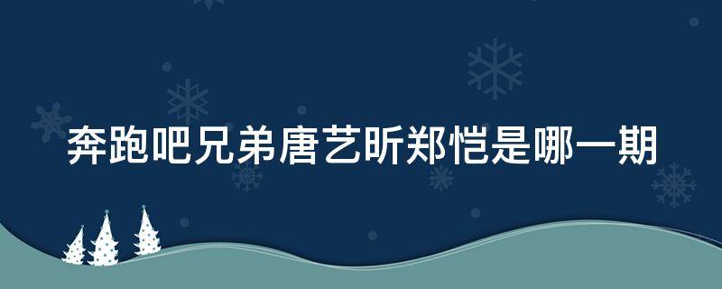 奔跑吧兄弟唐艺昕郑恺是哪一期 奔跑吧兄弟唐艺昕和郑恺