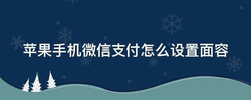 苹果手机微信支付怎么设置面容（苹果手机微信支付怎么设置面容支付）