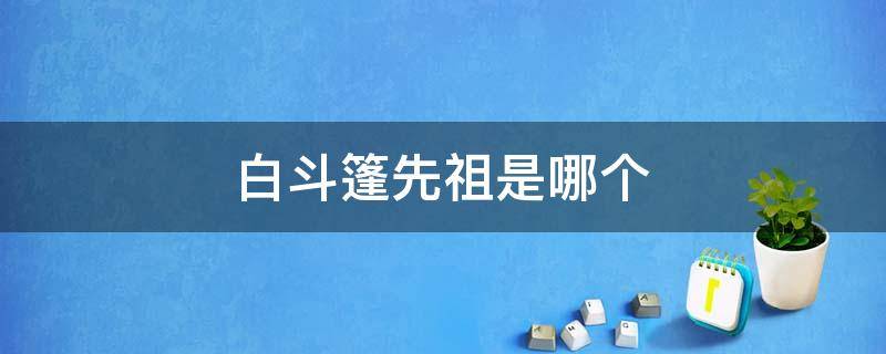 白斗篷先祖是哪个 禁阁白斗篷先祖是哪个