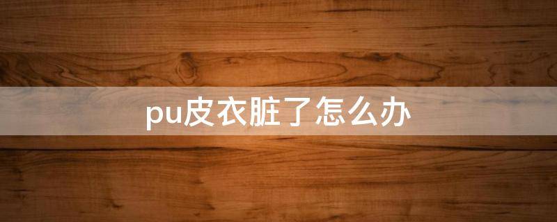 pu皮衣脏了怎么办（皮衣弄脏了怎么办）