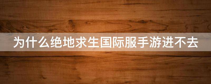 为什么绝地求生国际服手游进不去 绝地求生国际服手游怎么进不去