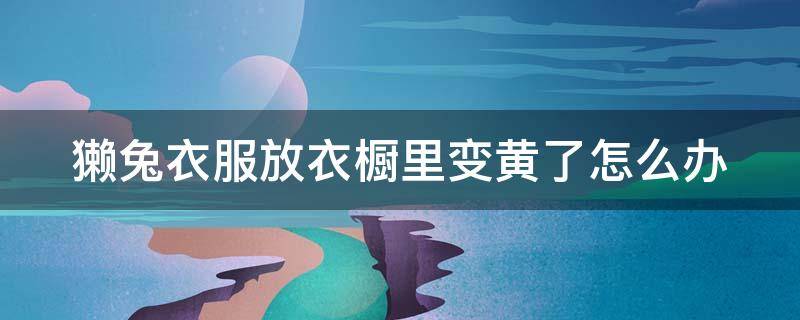 獭兔衣服放衣橱里变黄了怎么办 獭兔衣服脏了怎么洗