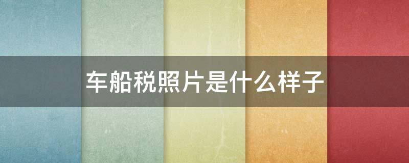 车船税照片是什么样子 车船税照片是什么样子的