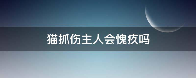 猫抓伤主人会愧疚吗 猫知道抓伤主人了吗