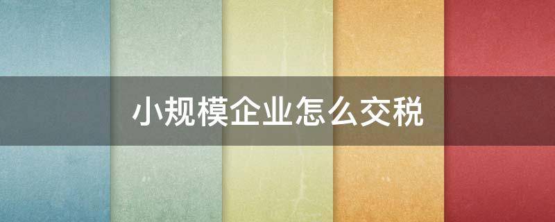 小规模企业怎么交税（小规模纳税人企业所得税怎么征收）