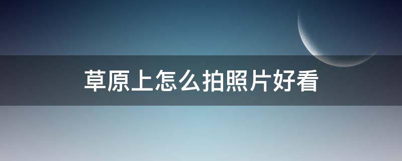 草原上怎么拍照片好看（大草原怎么拍照好看图片）