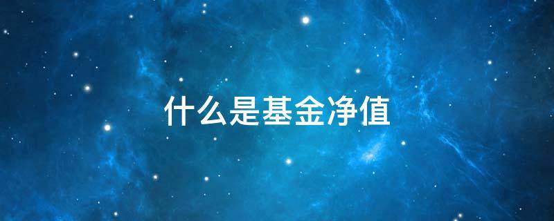 什么是基金净值（什么是基金净值和估值）
