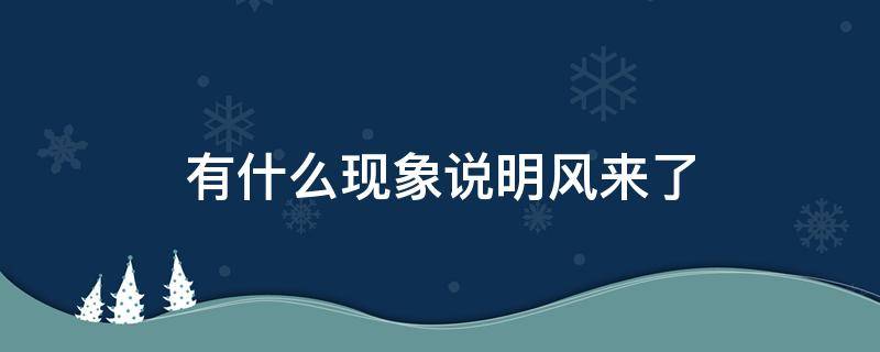 有什么现象说明风来了（风来了的现象）