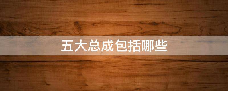 五大总成包括哪些（汽车的四大总成包括）