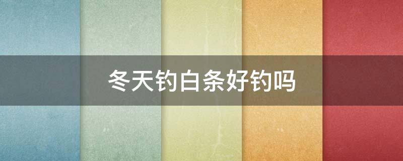 冬天钓白条好钓吗 冬天好钓白条吗?