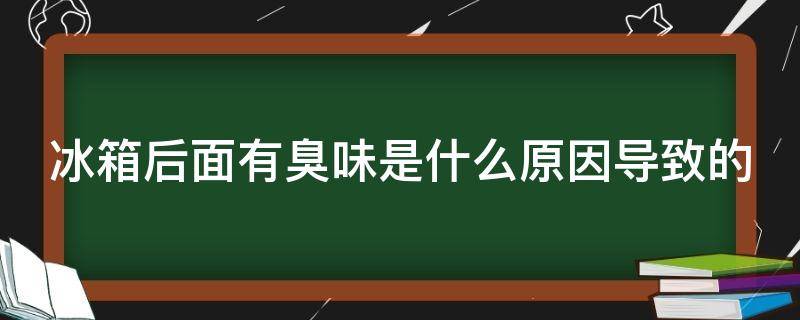 冰箱后面有臭味是什么原因导致的 冰箱后面有臭味是怎么回事