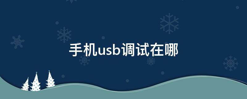 手机usb调试在哪 红米手机usb调试在哪