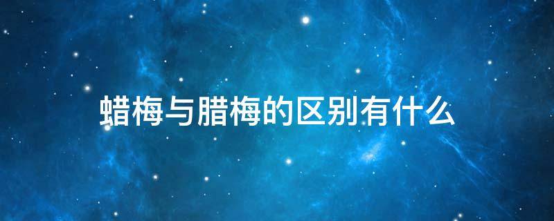 蜡梅与腊梅的区别有什么（腊梅和腊梅的区别是什么）