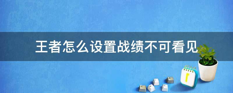 王者怎么设置战绩不可看见 王者怎么设置战绩不可查看
