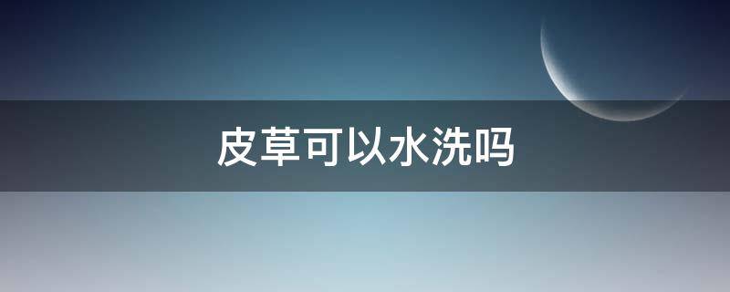 皮草可以水洗吗（皮草可以直接水洗吗）