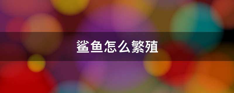 鲨鱼怎么繁殖（鲨鱼怎么繁殖的）