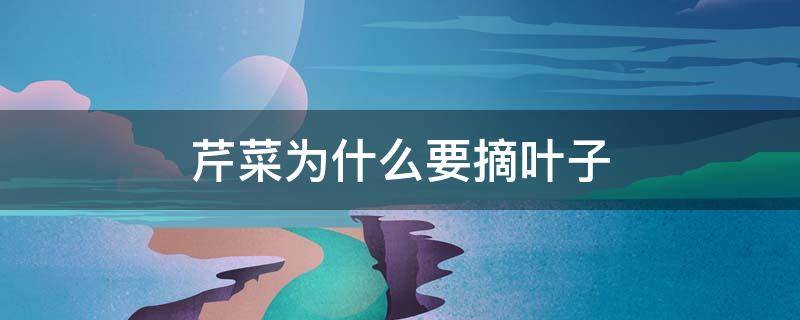 芹菜为什么要摘叶子 芹菜要摘掉叶子吗