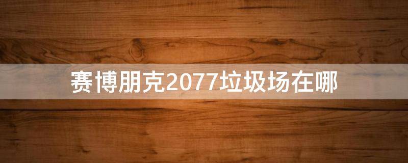 赛博朋克2077垃圾场在哪（赛博朋克2077怎么捡垃圾）