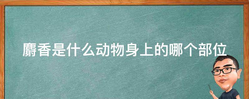 麝香是什么动物身上的哪个部位 麝香是什么动物身上的哪个部位?摘除后会死吗?
