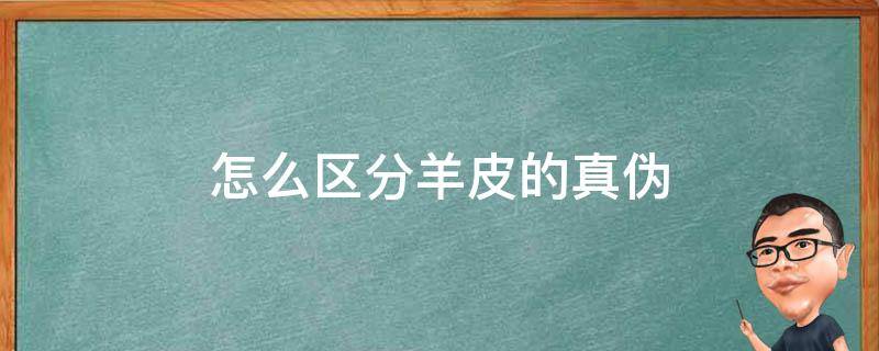 怎么区分羊皮的真伪（羊皮真伪辨别真假）