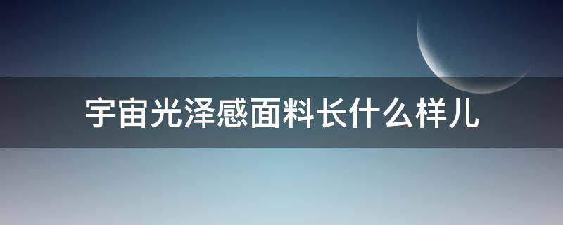 宇宙光泽感面料长什么样儿 有点光泽的那种面料