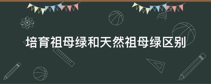 培育祖母绿和天然祖母绿区别 区别天然祖母绿和合成祖母绿的方法是
