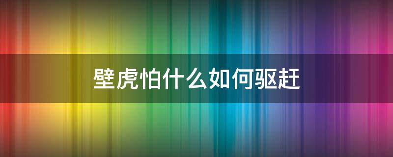 壁虎怕什么如何驱赶（小壁虎最怕什么用什么驱赶它）