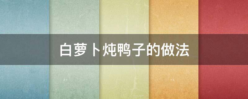 白萝卜炖鸭子的做法（白萝卜炖鸭子的做法窍门）