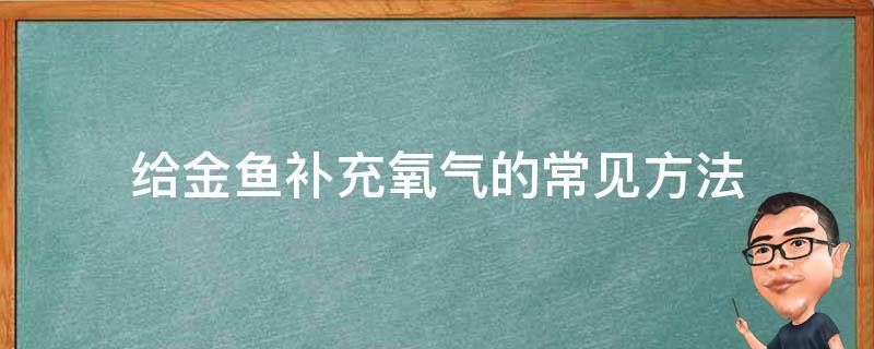 给金鱼补充氧气的常见方法 金鱼水里怎么充氧气
