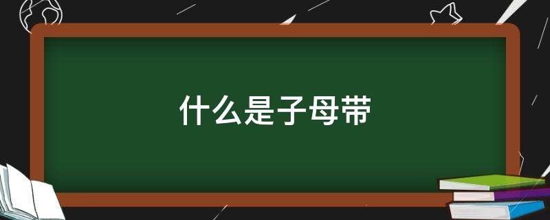 什么是子母带 母带和子带