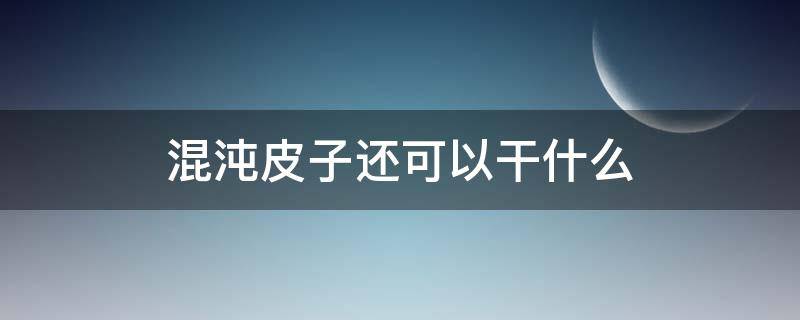 混沌皮子还可以干什么（混沌皮子用什么做）