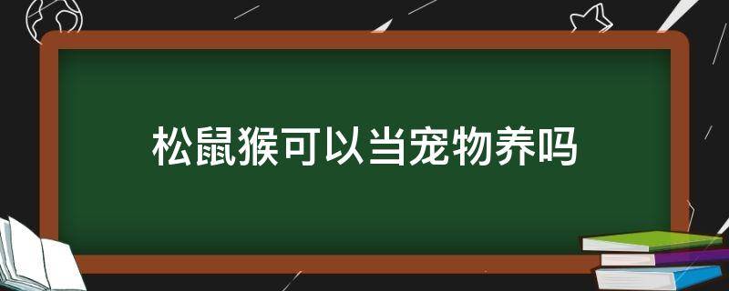 松鼠猴可以当宠物养吗 松鼠能当宠物养吗