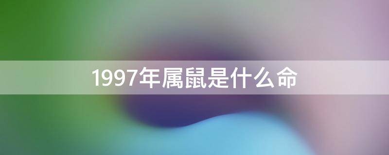 1997年属鼠是什么命 1997年属牛是什么命五行属什么