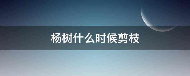 杨树什么时候剪枝（杨树什么时候剪枝,怎么剪）