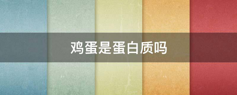鸡蛋是蛋白质吗 水煮鸡蛋是蛋白质吗