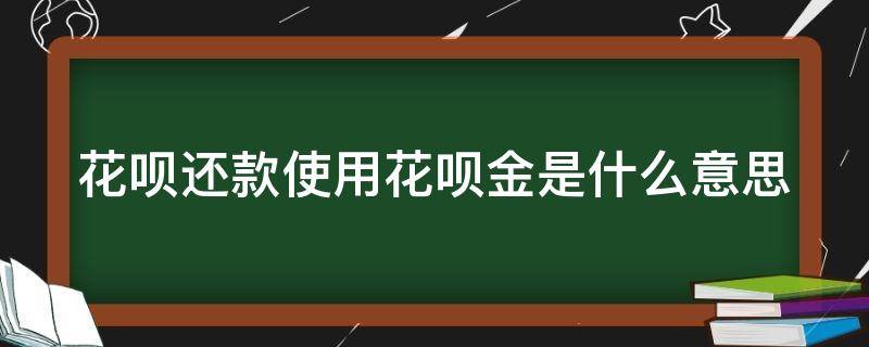 花呗还款使用花呗金是什么意思（花呗还款时花呗金是什么）