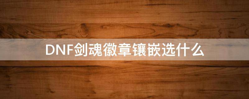 DNF剑魂徽章镶嵌选什么（剑魂装备徽章镶嵌）