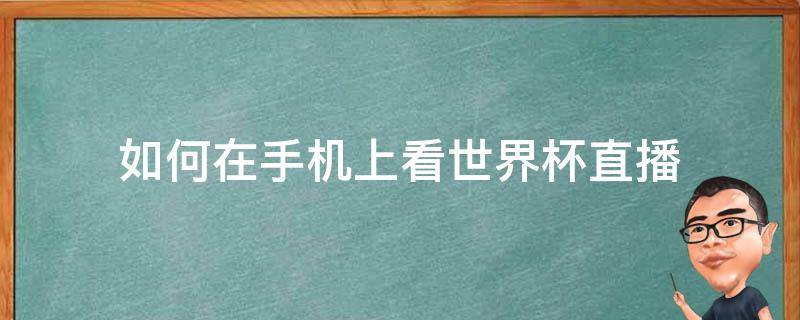 如何在手机上看世界杯直播（手机上怎么看世界杯直播）