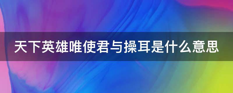 天下英雄唯使君与操耳是什么意思 天下英雄唯史与君操耳