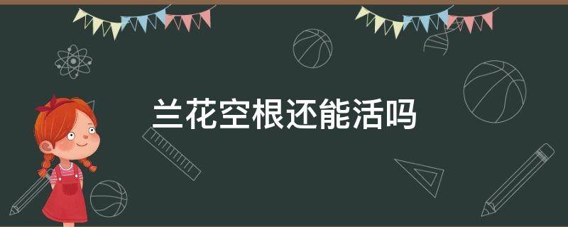 兰花空根还能活吗（兰花的根全烂了还能养活吗）